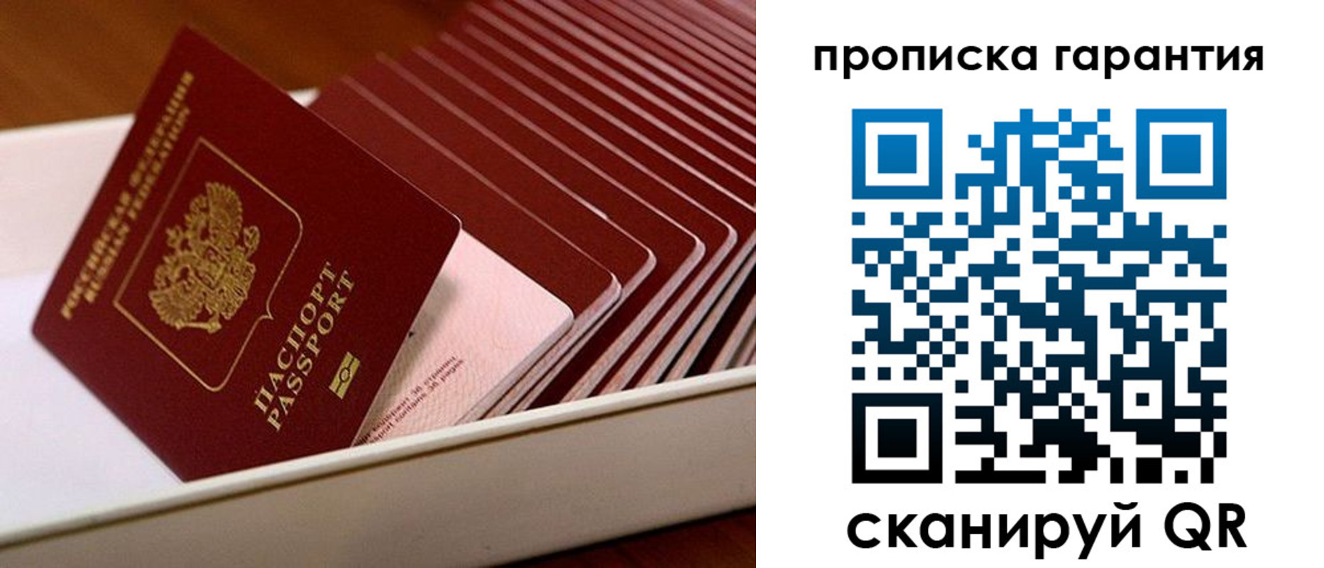 прописка поиск в Орле
